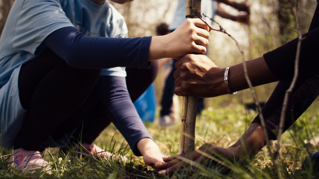 Dedicated community guardians planting and securing a tree